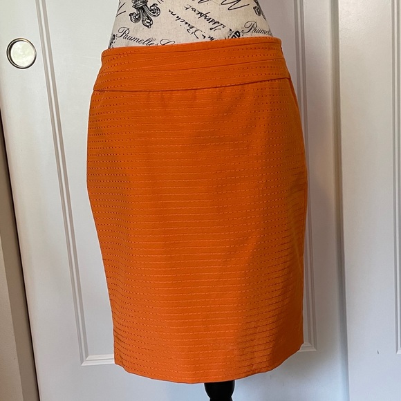 The Limited Orange Skirt - Picture 2 of 11